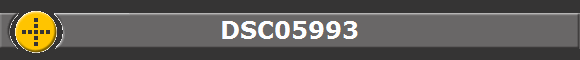 DSC05993