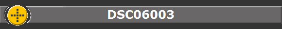 DSC06003