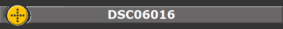 DSC06016