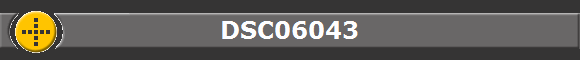 DSC06043