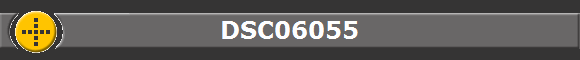 DSC06055
