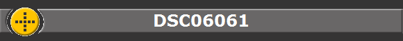 DSC06061